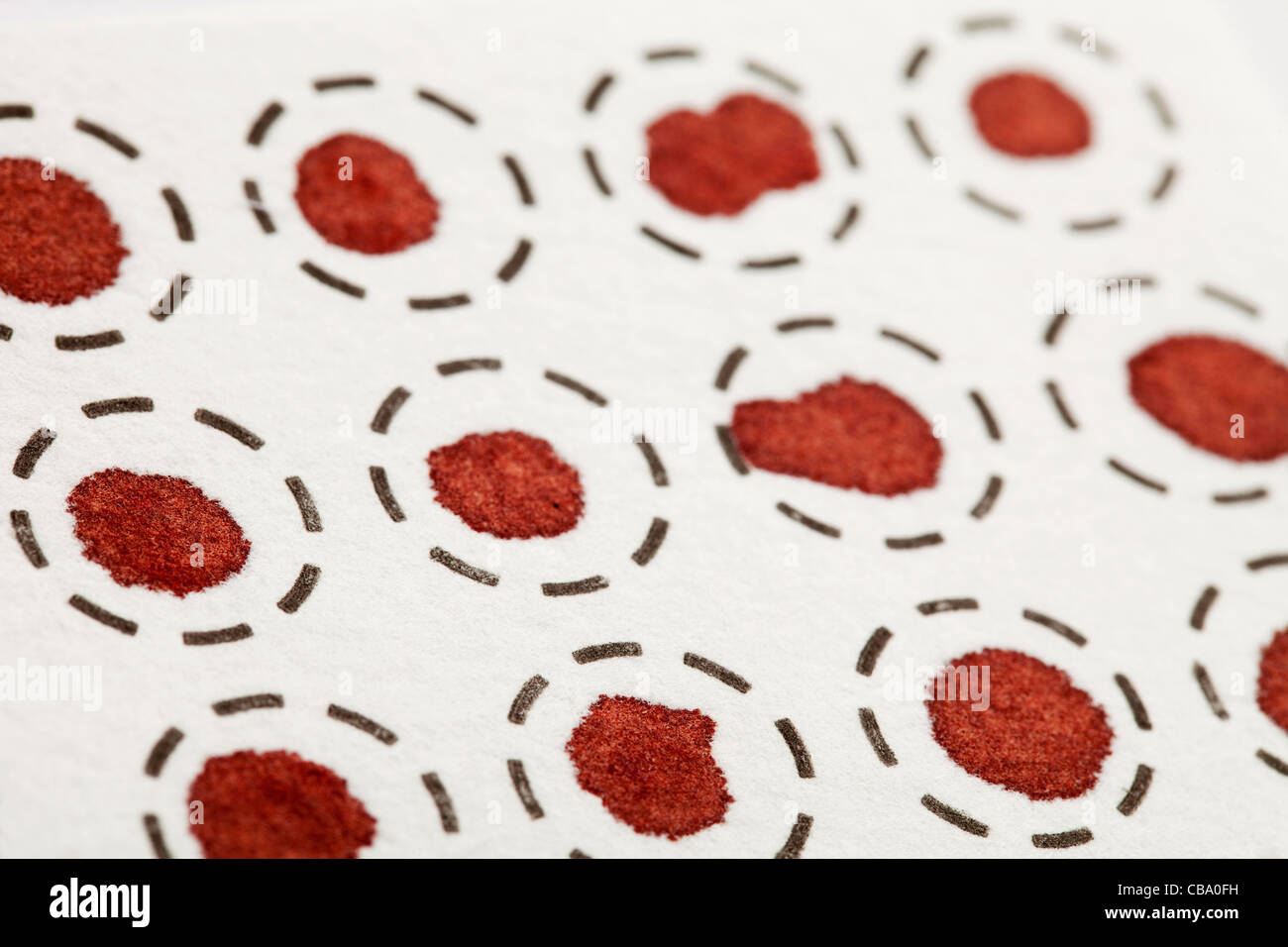 self test blood spots on a white fiber filter for laboratory analysis