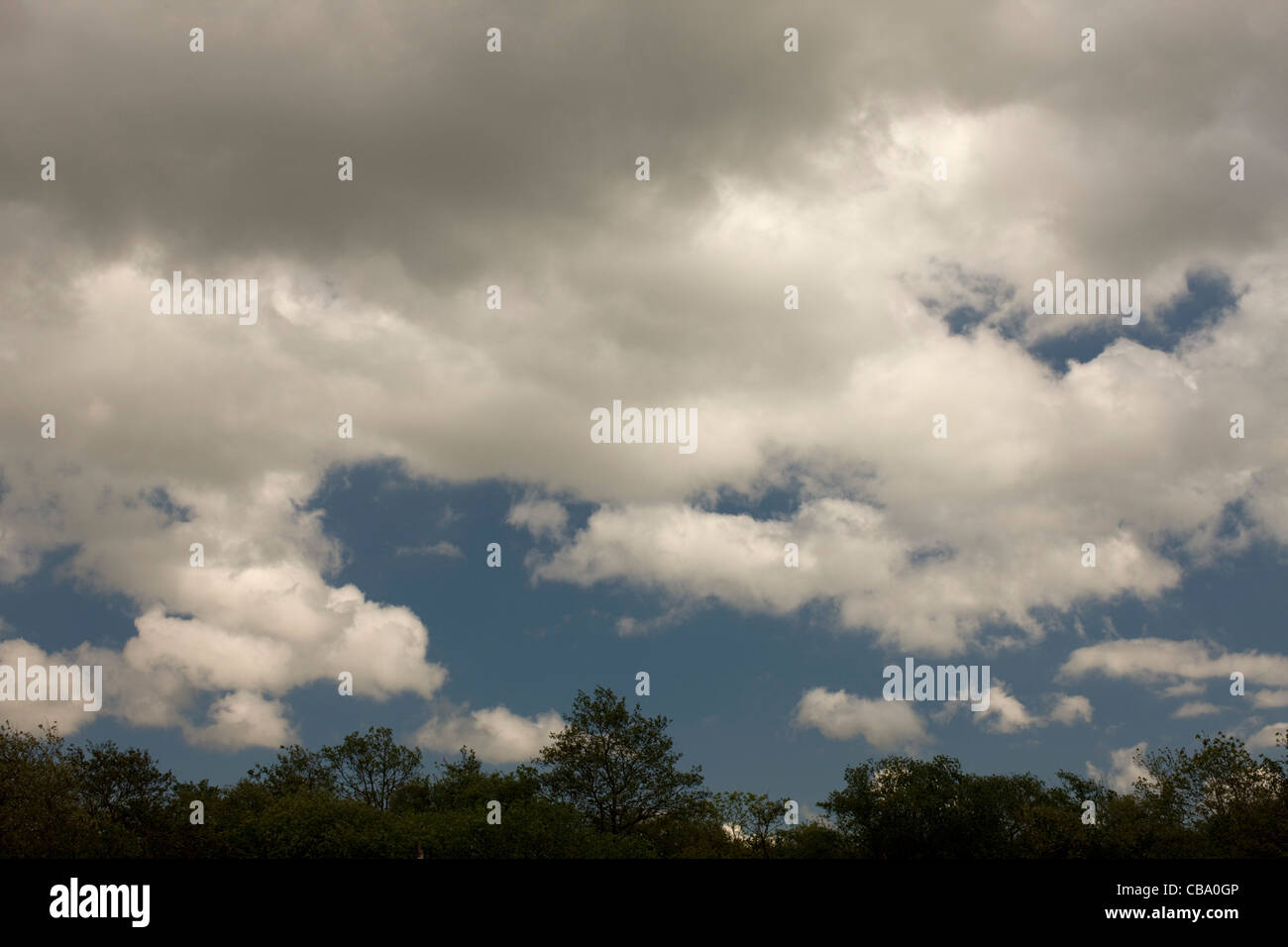 Clouds over Forest Stock Photo - Alamy