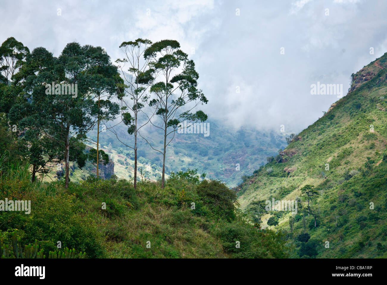 Usambara mountain valley in north west Tanzania. Stock Photo