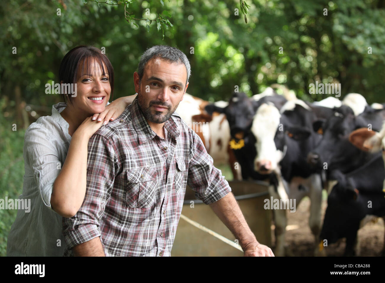 Farmer and his wife in front of their cows Stock Photo - Alamy