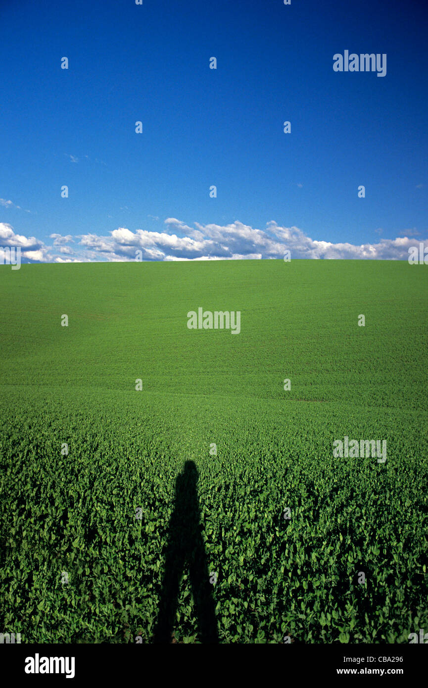 Person standing field field hi-res stock photography and images - Alamy