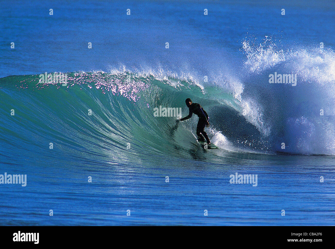 Surfer surfing a perfect wave. Palliser Bay, Wellington, North Island