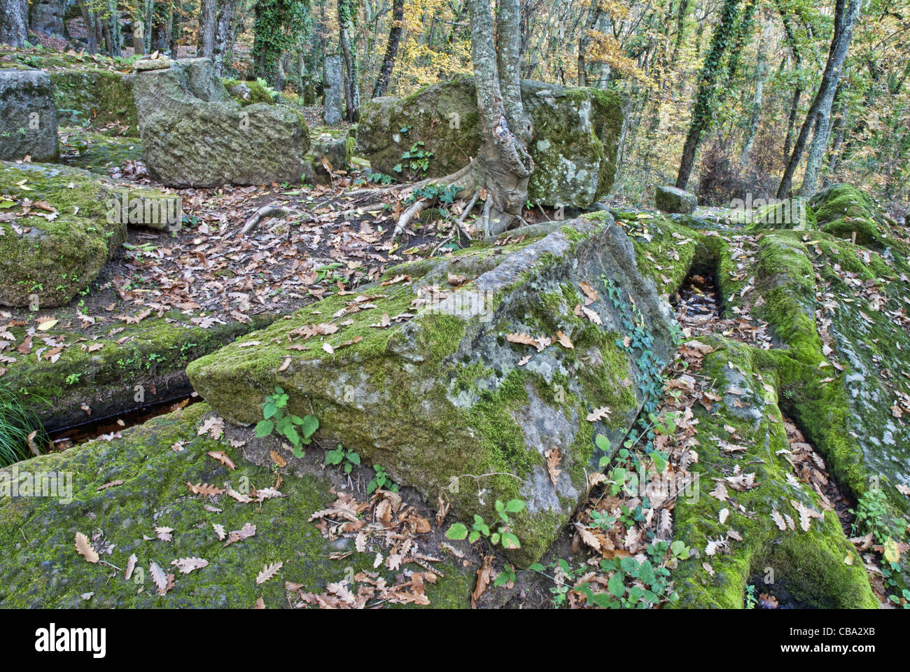 The remains of the Early Medieval village of St. Cecilia, province of Viterbo, Italy. Stock Photo