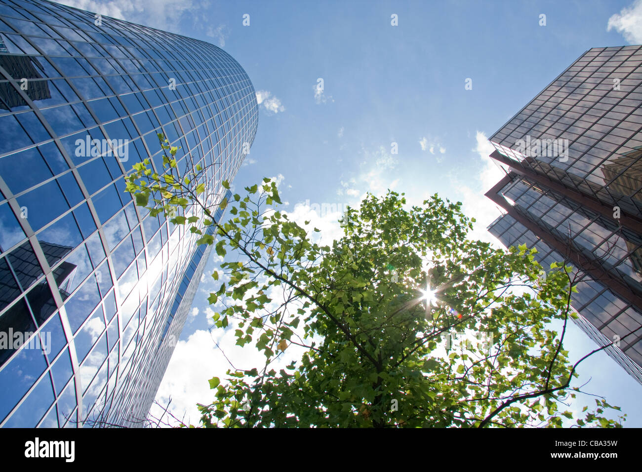 Urban ecosystem hi-res stock photography and images - Alamy