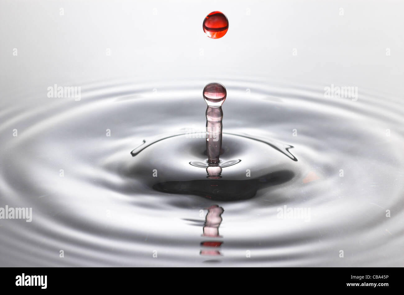 Red water drop into clear water with ripples Stock Photo