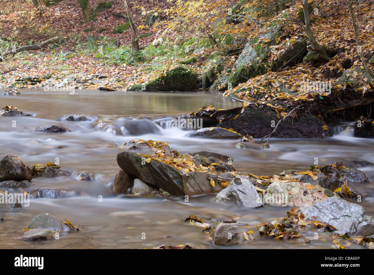 Besnica hires stock photography and images Alamy