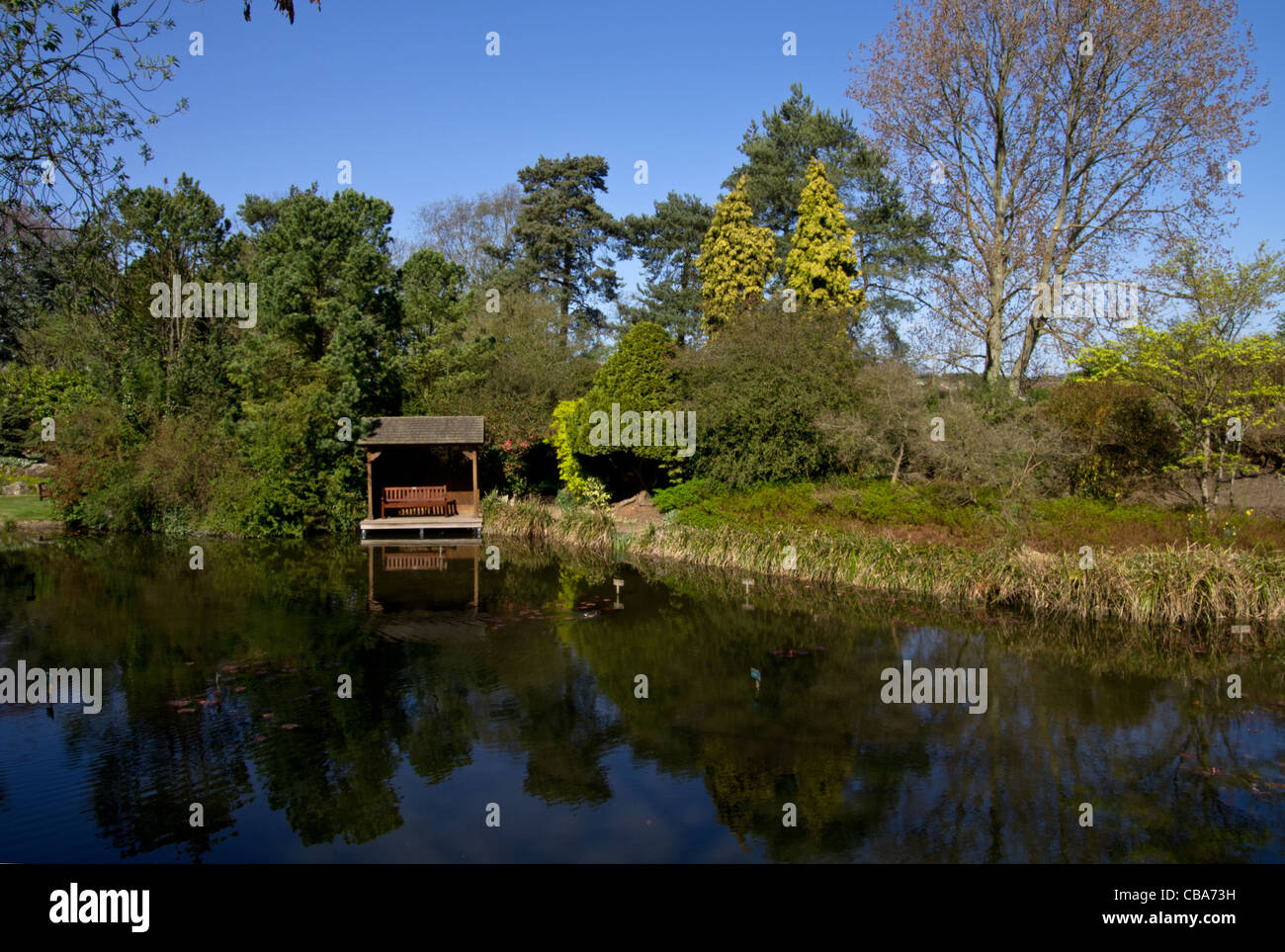 Burnby Hall Gardens Pocklington Stock Photo Alamy