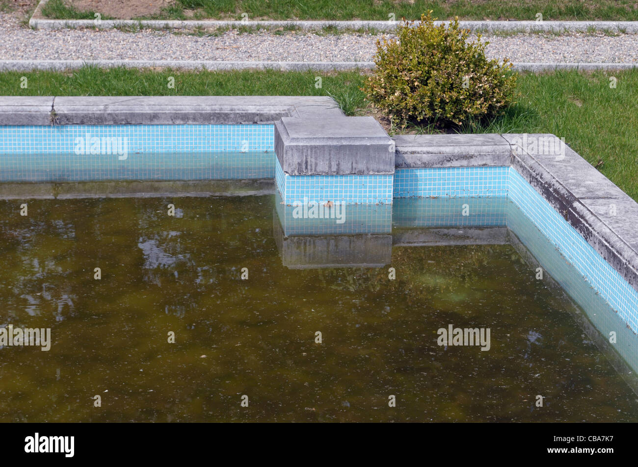 stagnant water and pool border Stock Photo Alamy