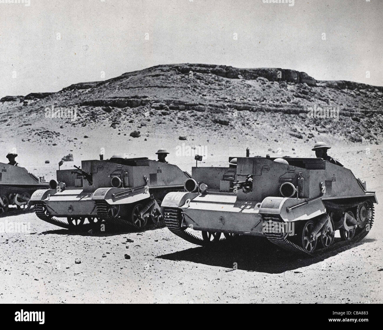 British Bren gun carriers in North Africa, WW11 Stock Photo Alamy