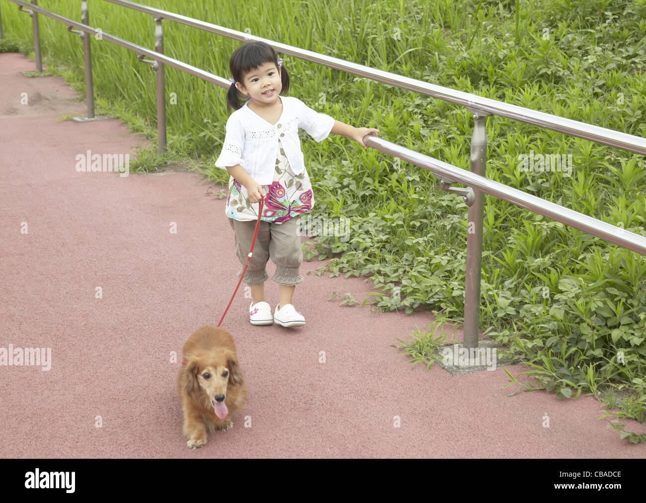Japanese girl walking dog hi-res stock photography and images - Alamy