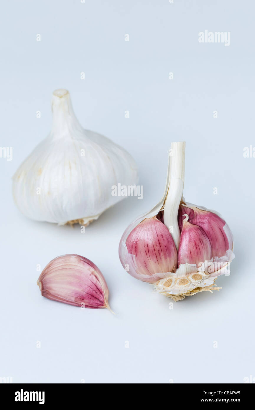 garlic cloves and bulbs on a white background Stock Photo - Alamy