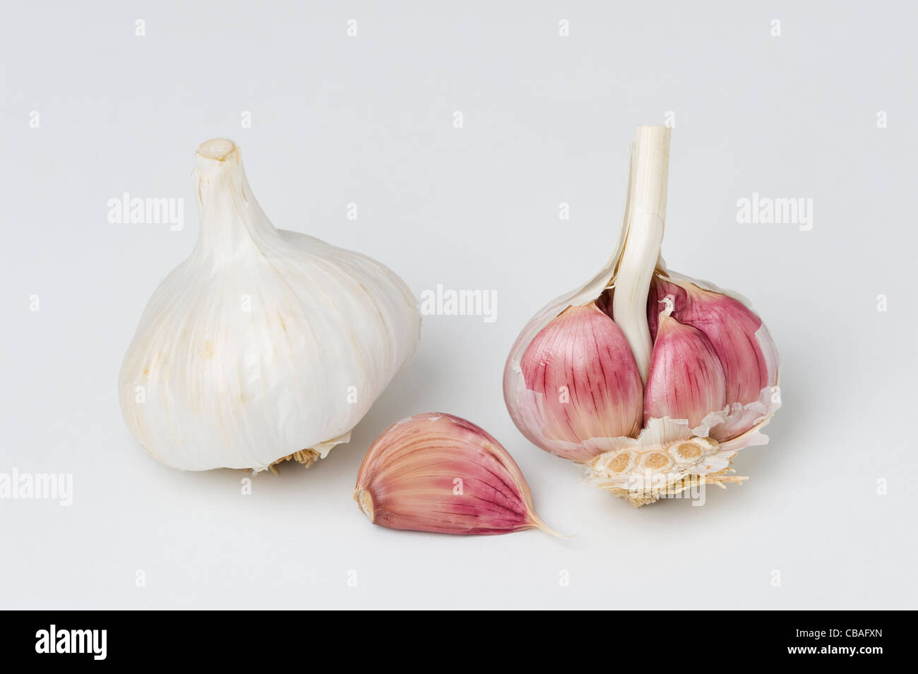 garlic cloves and bulbs on a white background Stock Photo - Alamy