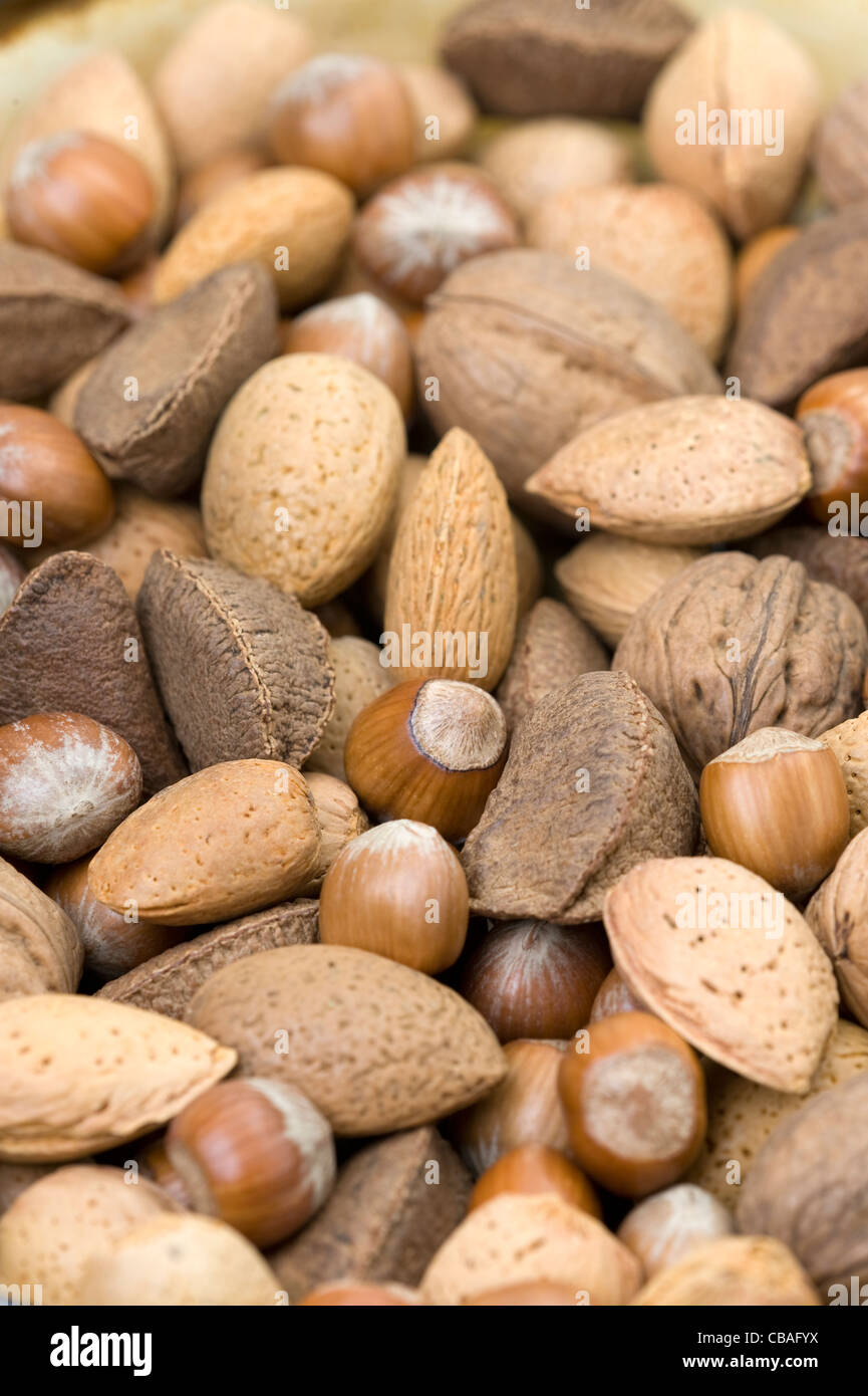 a full frame photograph of mixed whole nuts in their shells including: almond, brazil, walnut, hazel Stock Photo