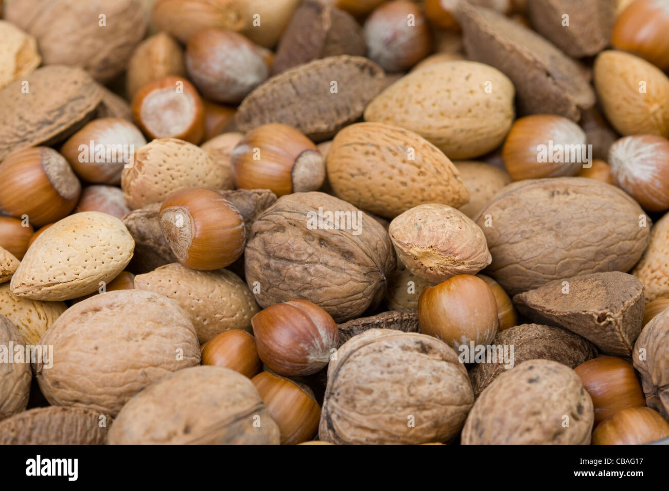 a full frame photograph of mixed whole nuts in their shells including: almond, brazil, walnut, hazel Stock Photo