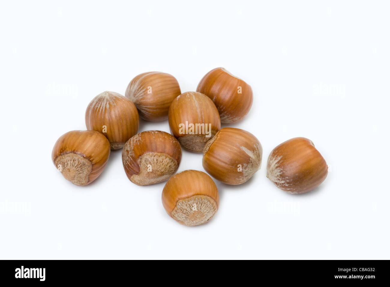 hazelnuts cutout Stock Photo