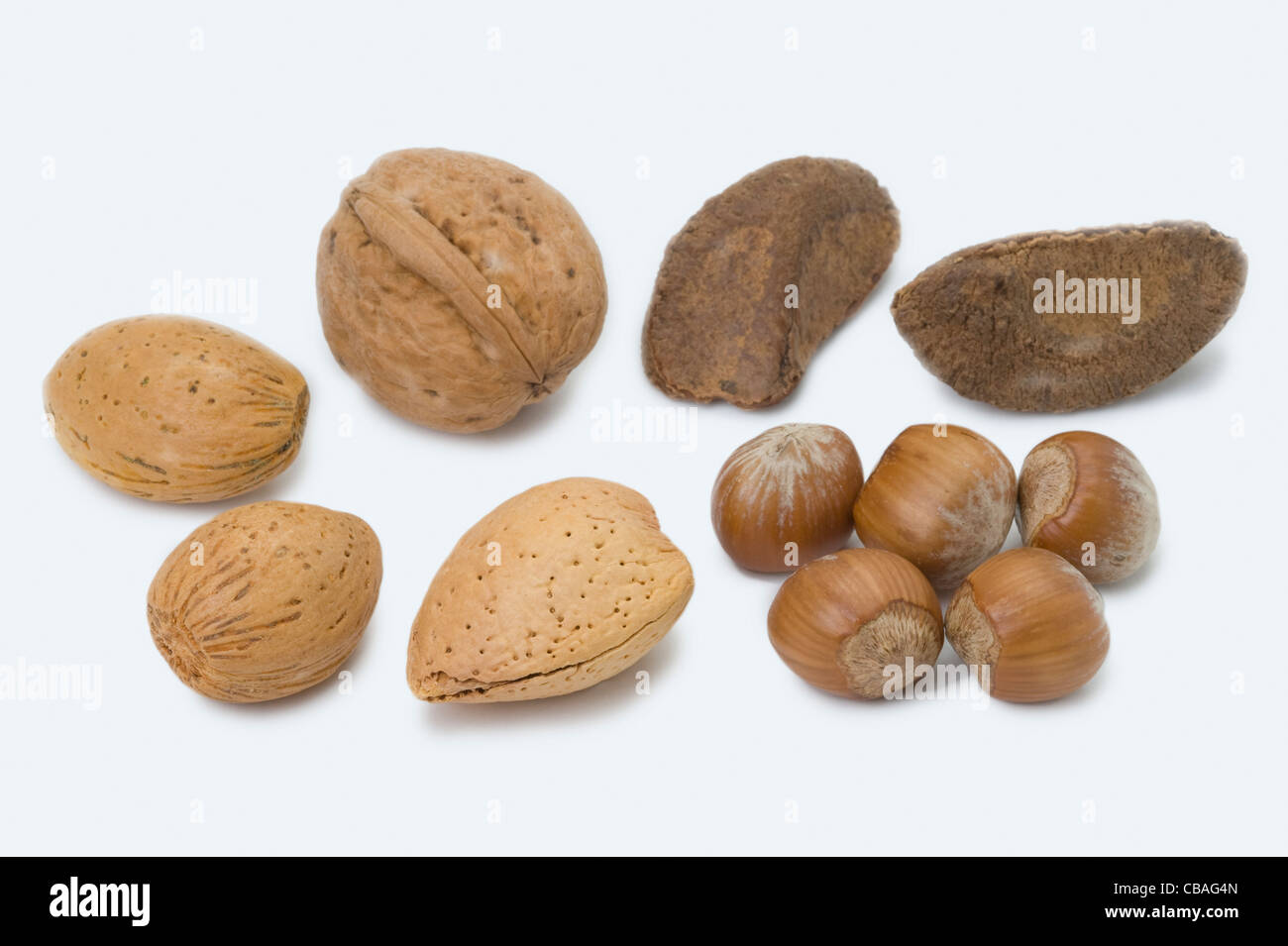 a selection of nuts in their shells including: almond, brazil, walnut, hazel nut Stock Photo
