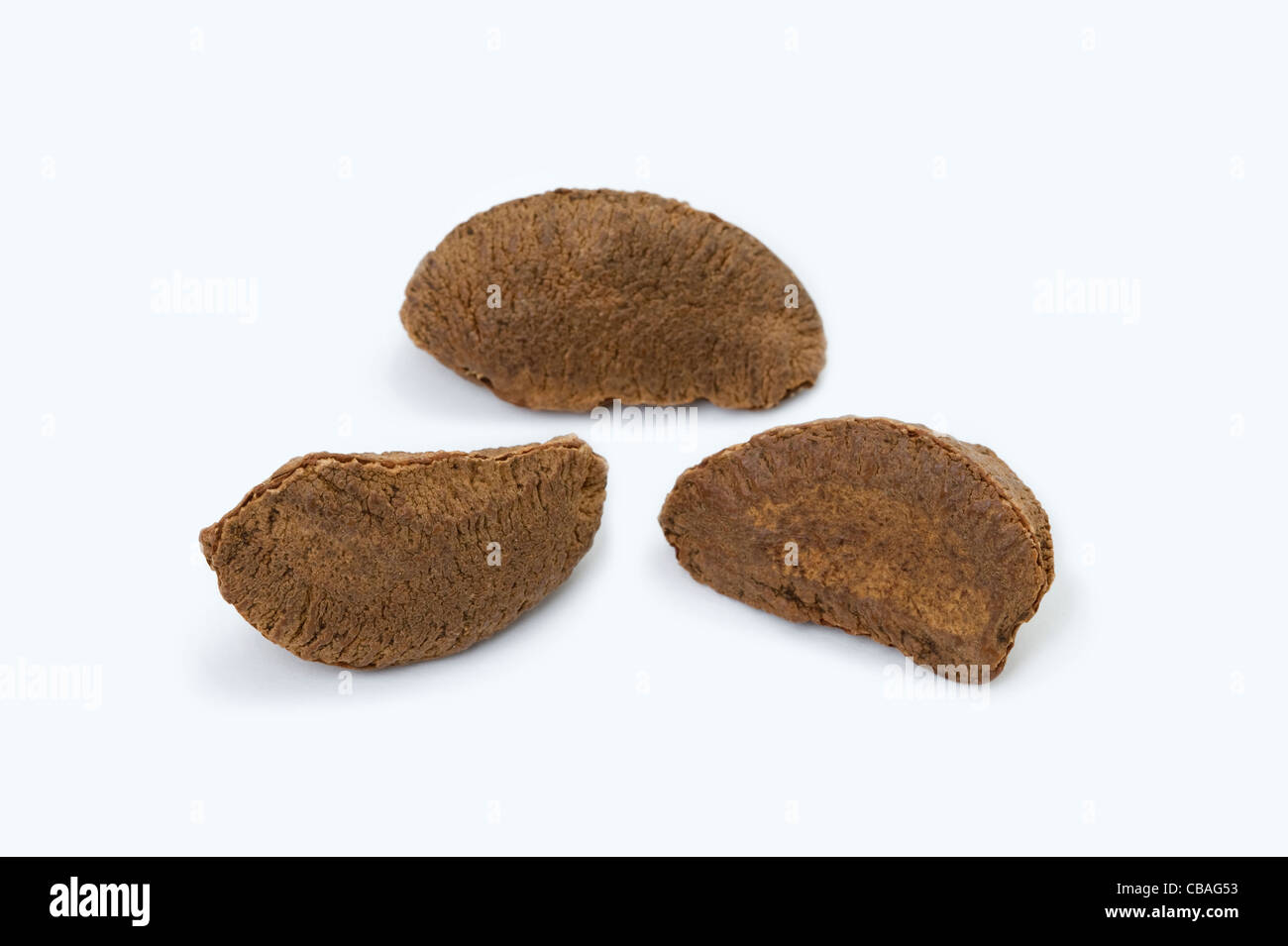 three brazil nuts cutout Stock Photo