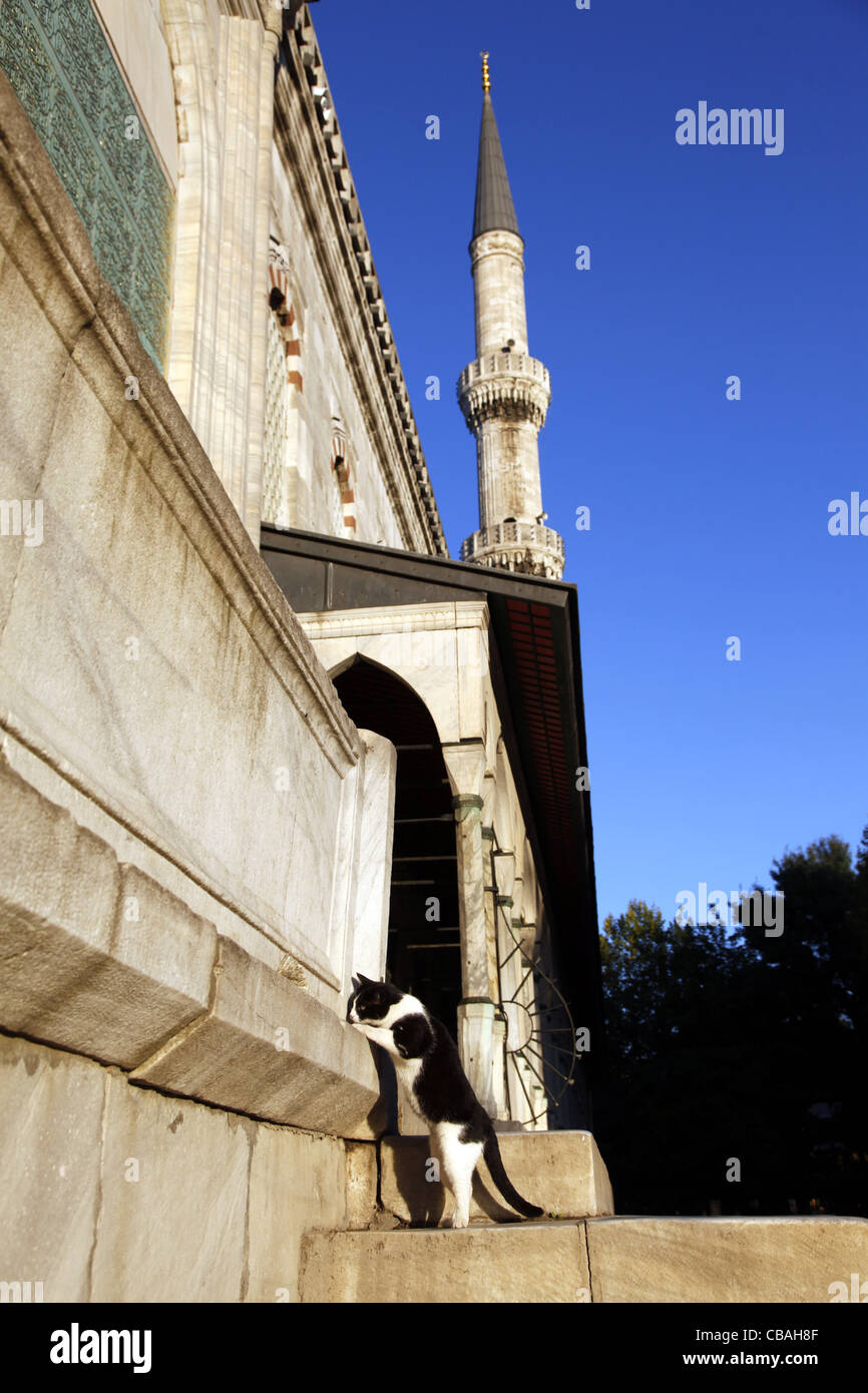 Black stone mosque hires stock photography and images Alamy