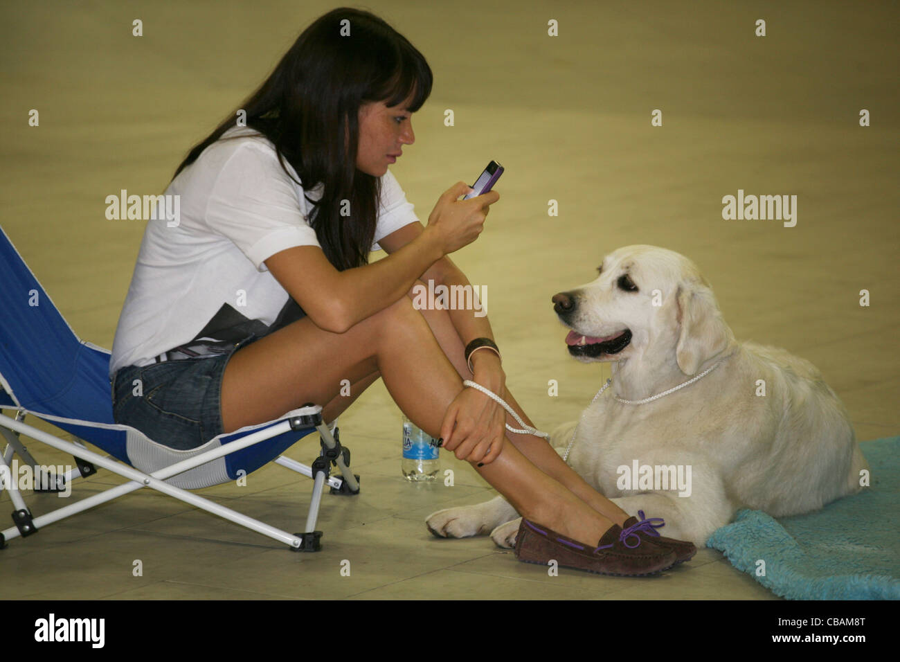 The girl with a dog Labrador Retriever Stock Photo - Alamy