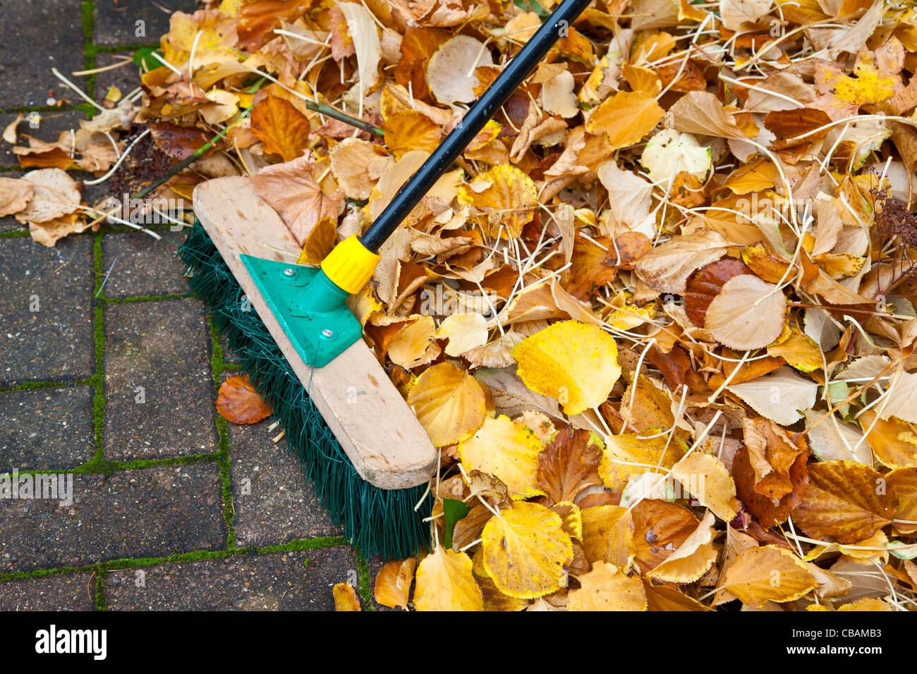 Sweeping autumn leaves Stock Photo