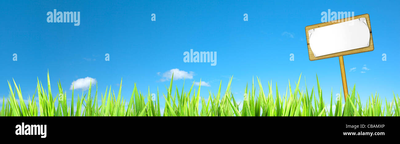 Blank wooden sign at the field of green. Panoramic composition in high resolution. Stock Photo