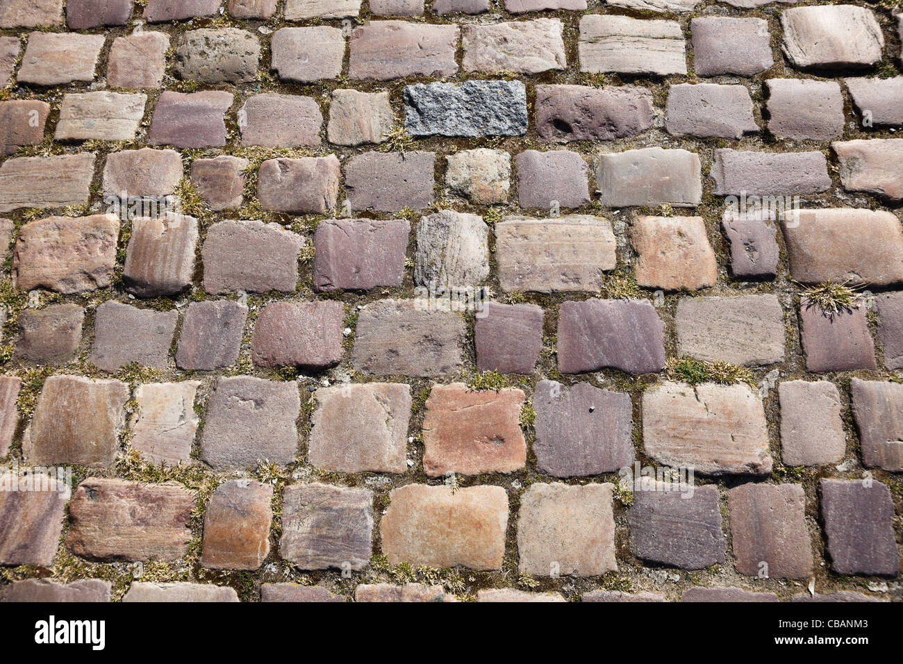 Cobbles on a street Stock Photo