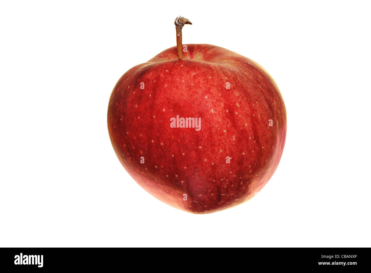 red Cameo apple isolated on white Stock Photo Alamy