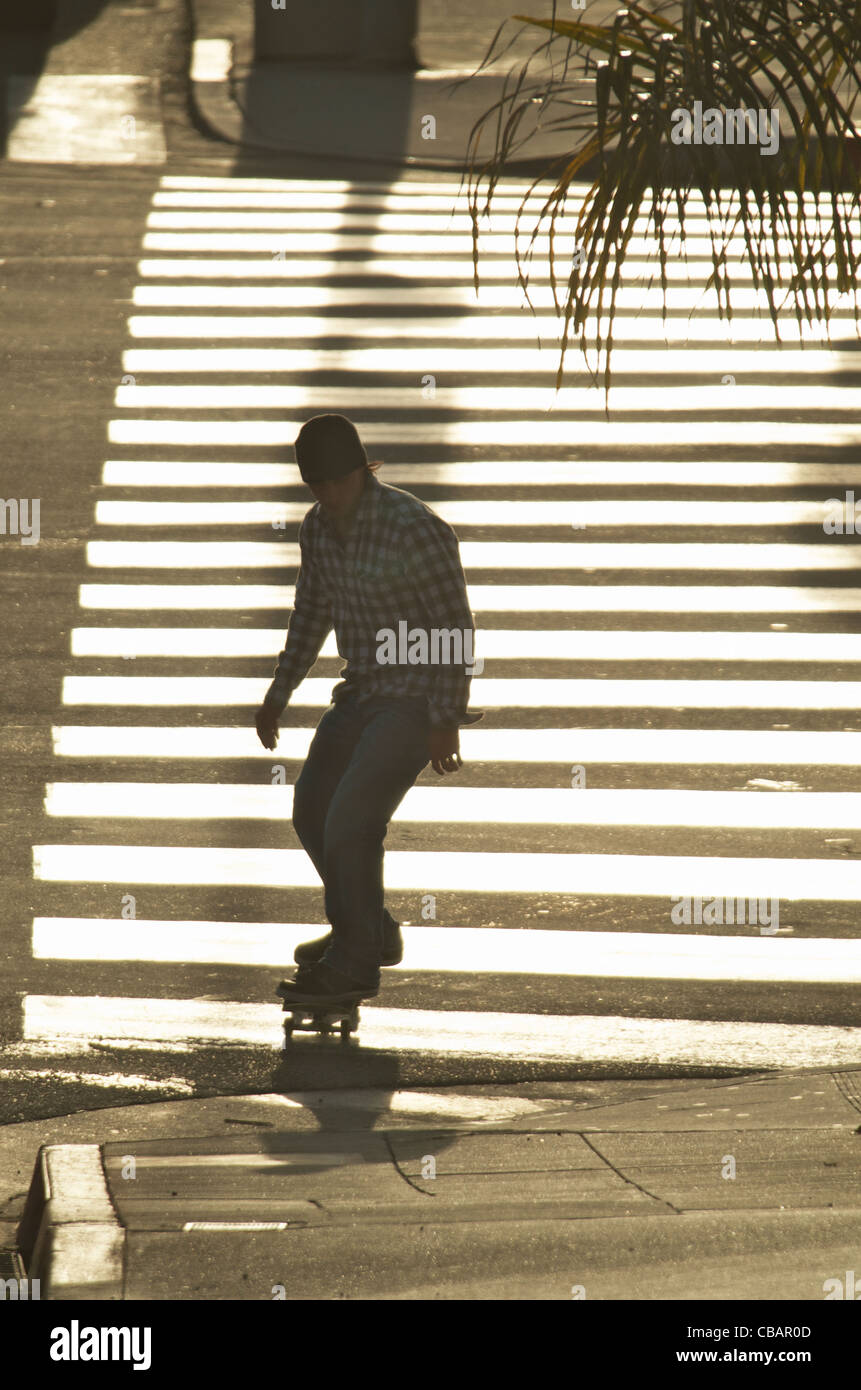 A silhouette portrait of a skateboarder street athlete. Stock Photo