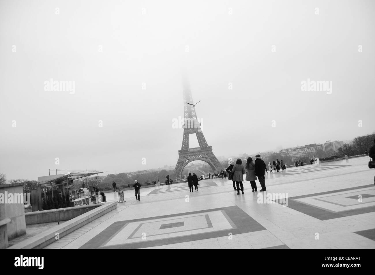 Eiffel Tower and a bird black and white photo Stock Photo