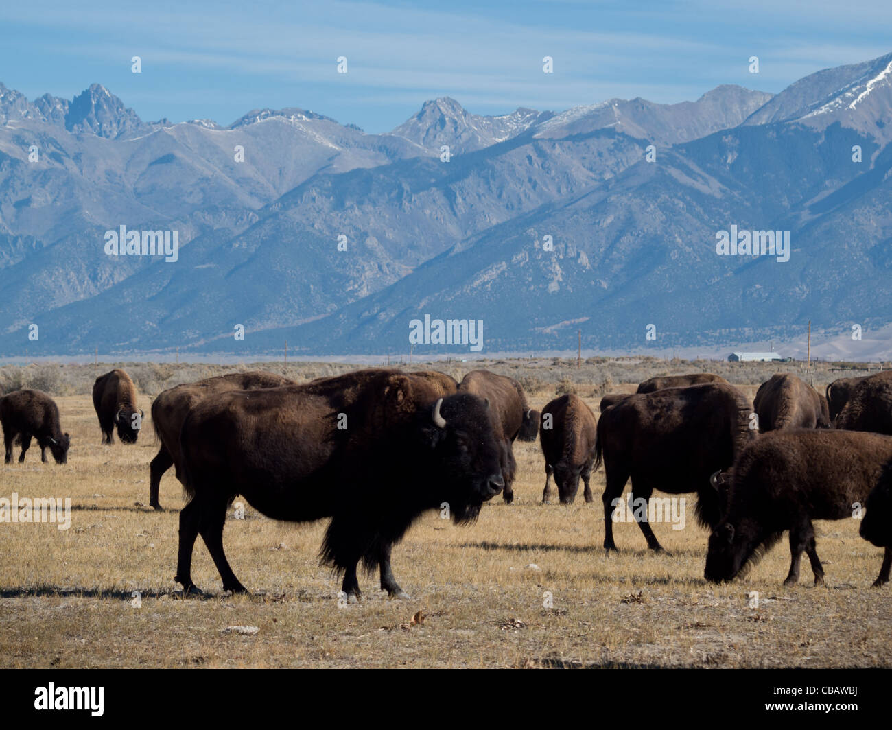 Alpine grassland wetlands hi-res stock photography and images - Alamy