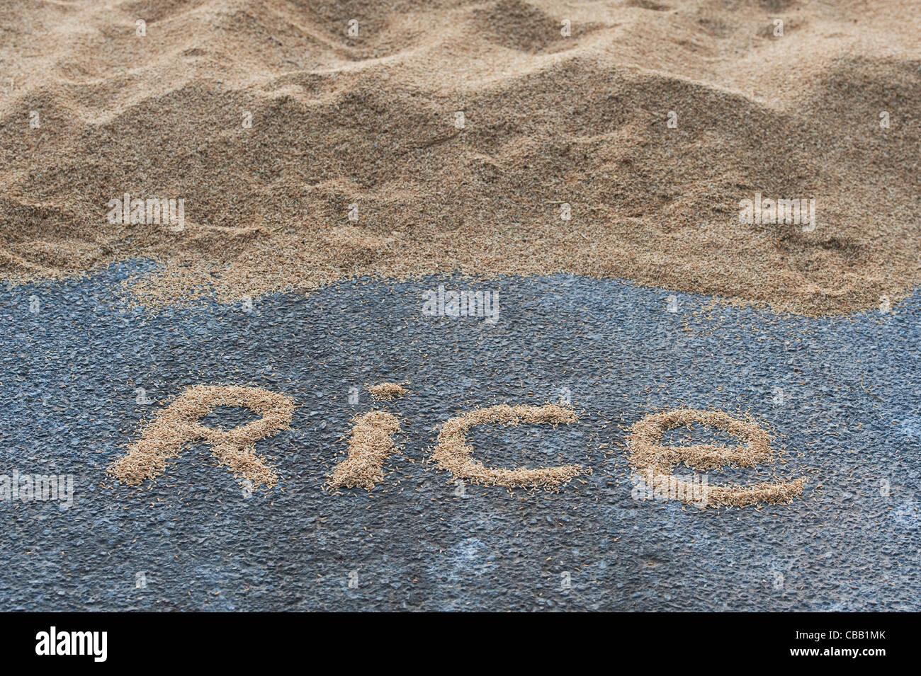 RICE word in front of Drying rice grain on an Indian road. Andhra ...