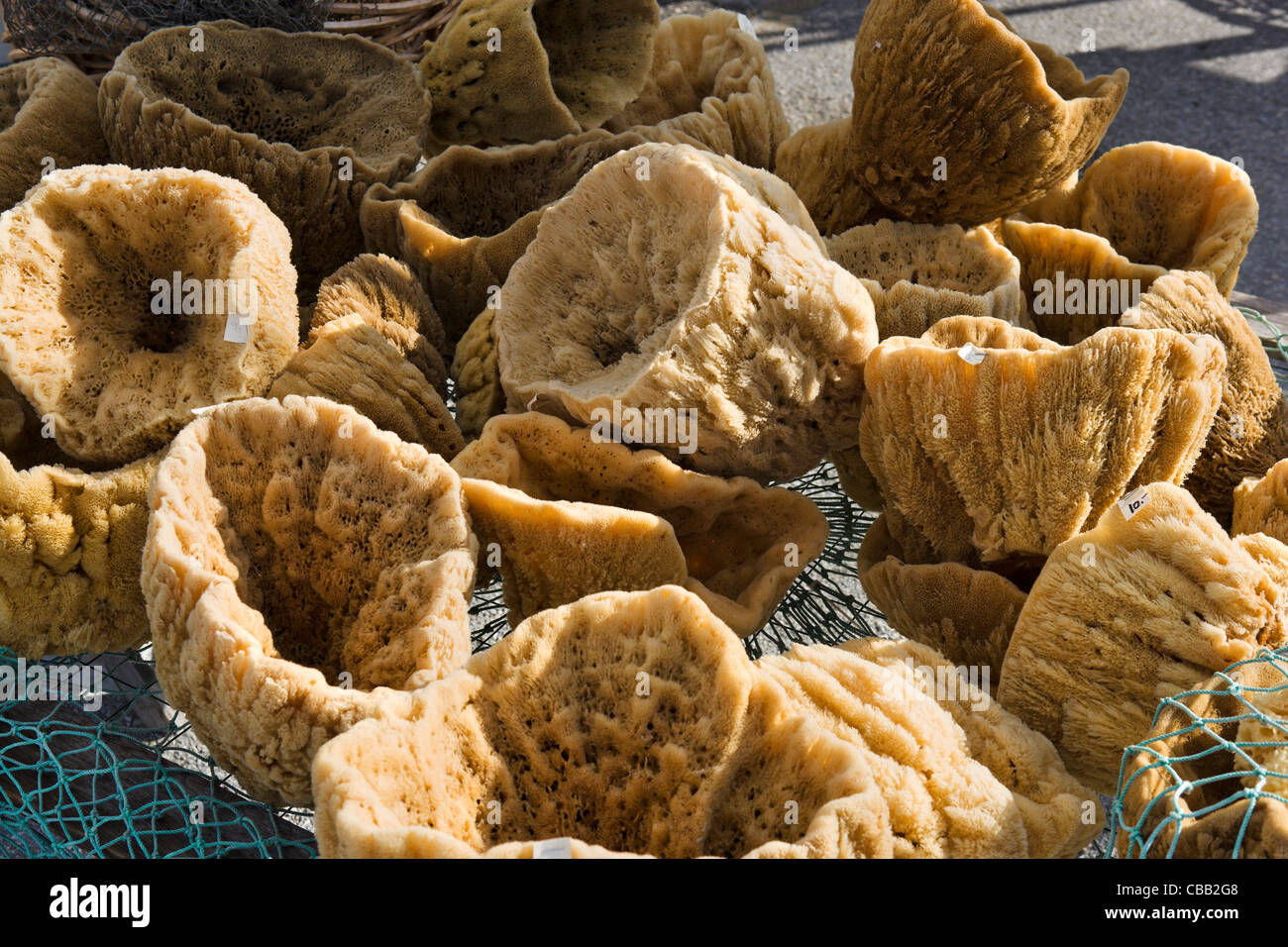 Natural sponges for sale on the Sponge Docks, Tarpon Springs, Gulf