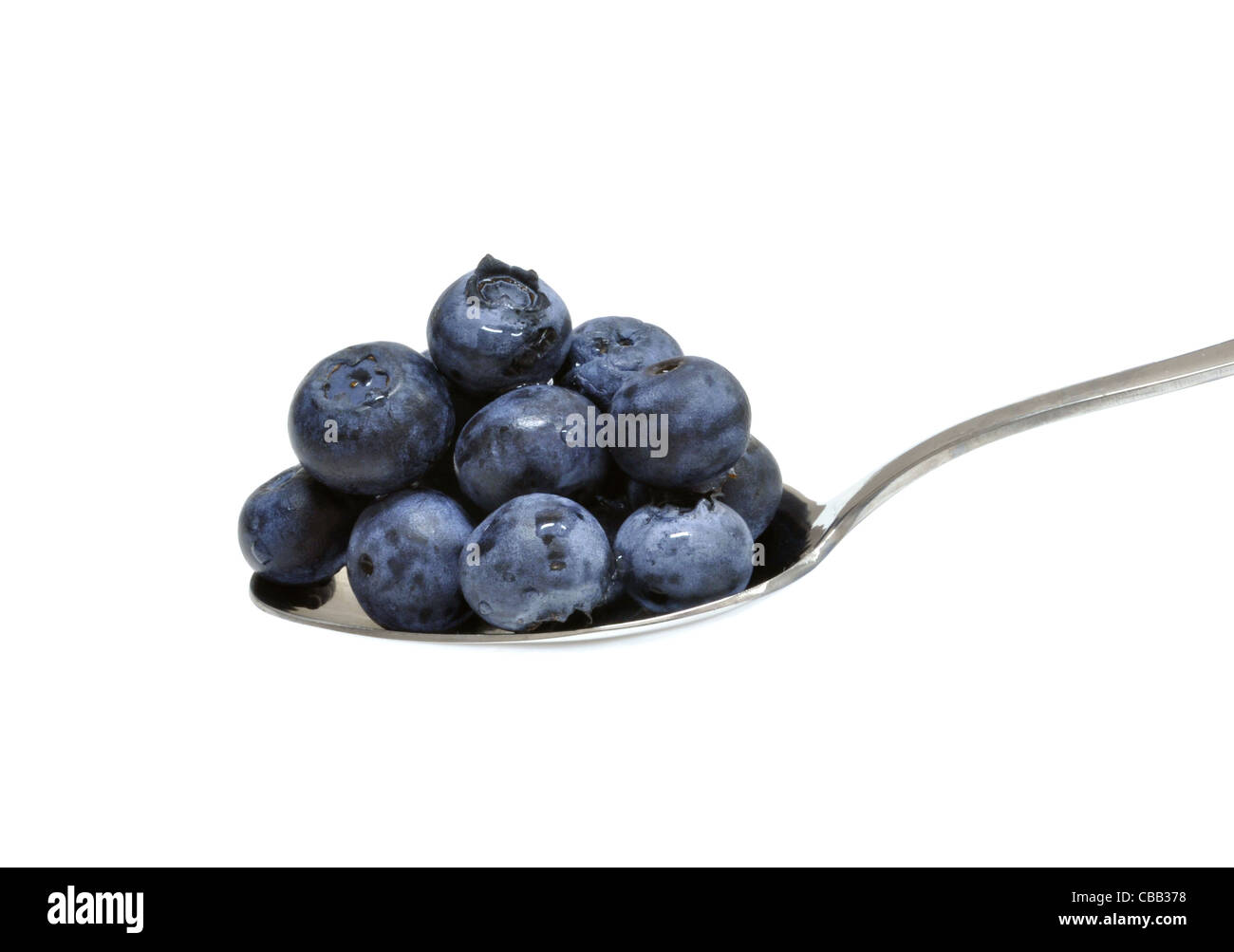 Spoonful of blueberries on a white background Stock Photo