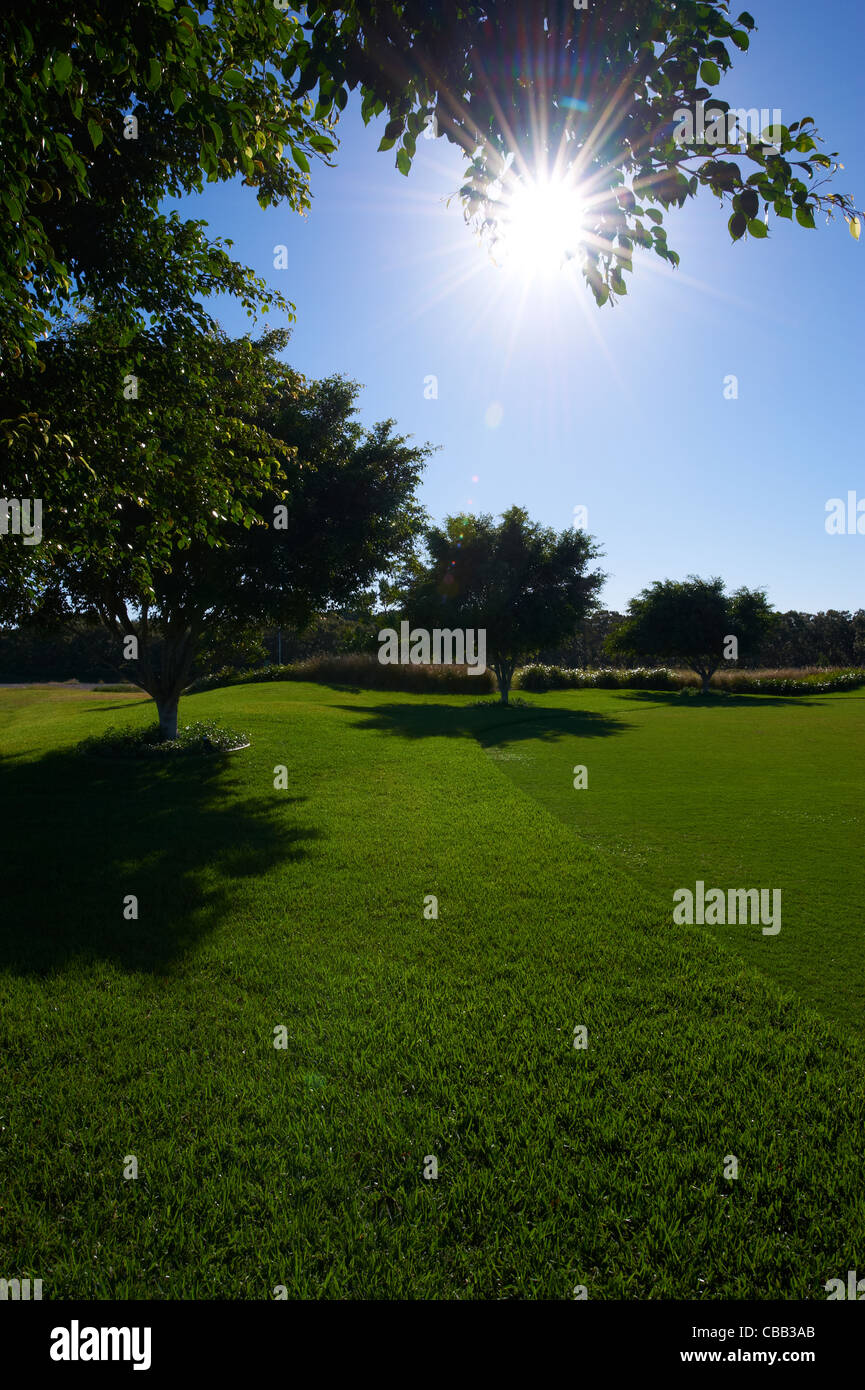 Green grass hi-res stock photography and images - Alamy