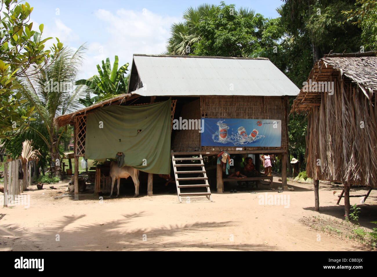 People live under their houses in hot weather near Siem Reap, Cambodia Stock Photo Alamy