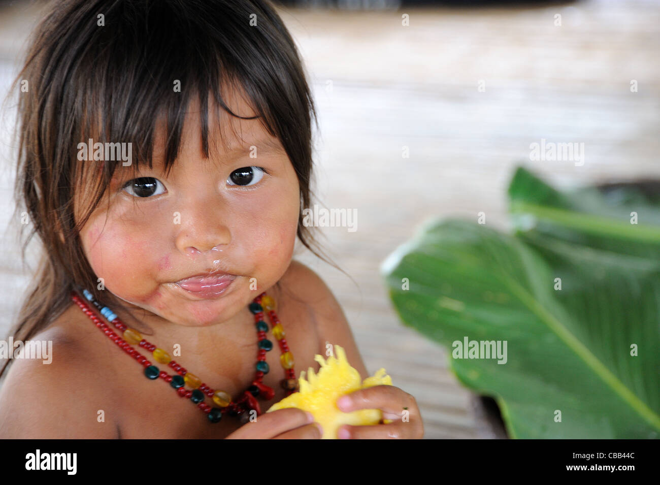 Embera indian little girl eating pineapple and dropping the snot  at Embera Puru indigenous community, Panama Stock Photo