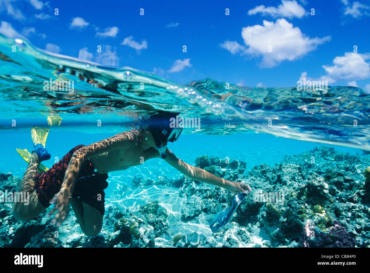 South Pacific Ocean Of Islands South Pacific Ocean Of Islands
