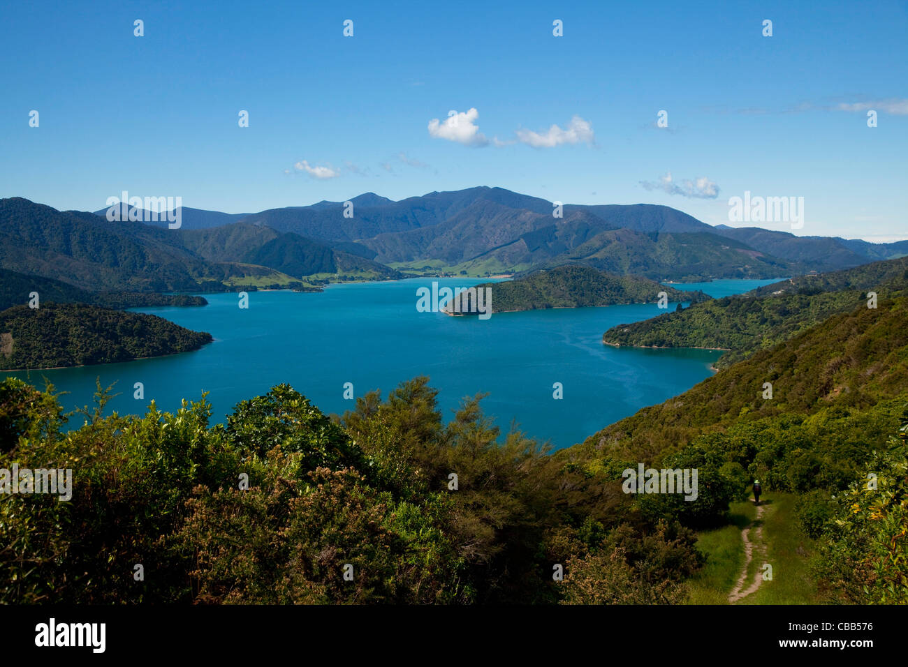 Queen Charlotte Track, Marlborough Sounds, South Island, New Zealand