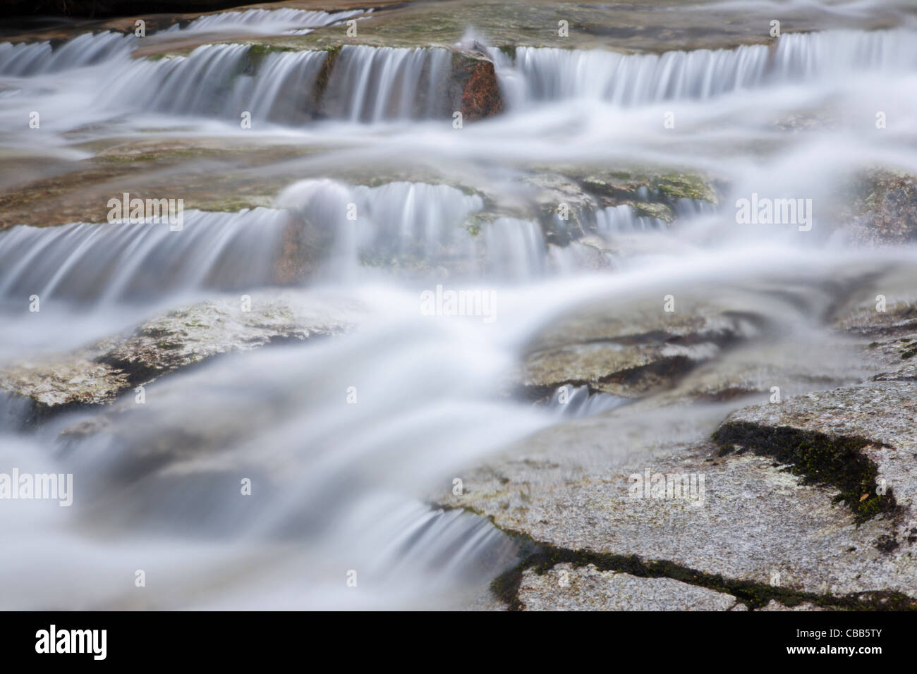 Twin Brook along the Bolles Trail in Albany, New Hampshire USA Stock