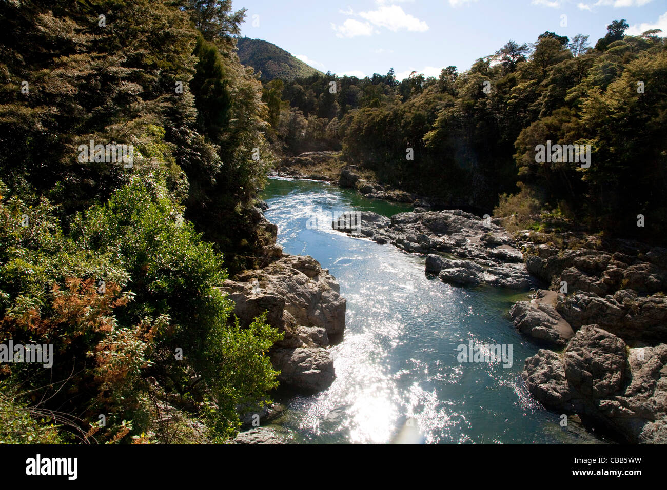 Pelorus River, Marlborough, South Island, New Zealand Stock Photo