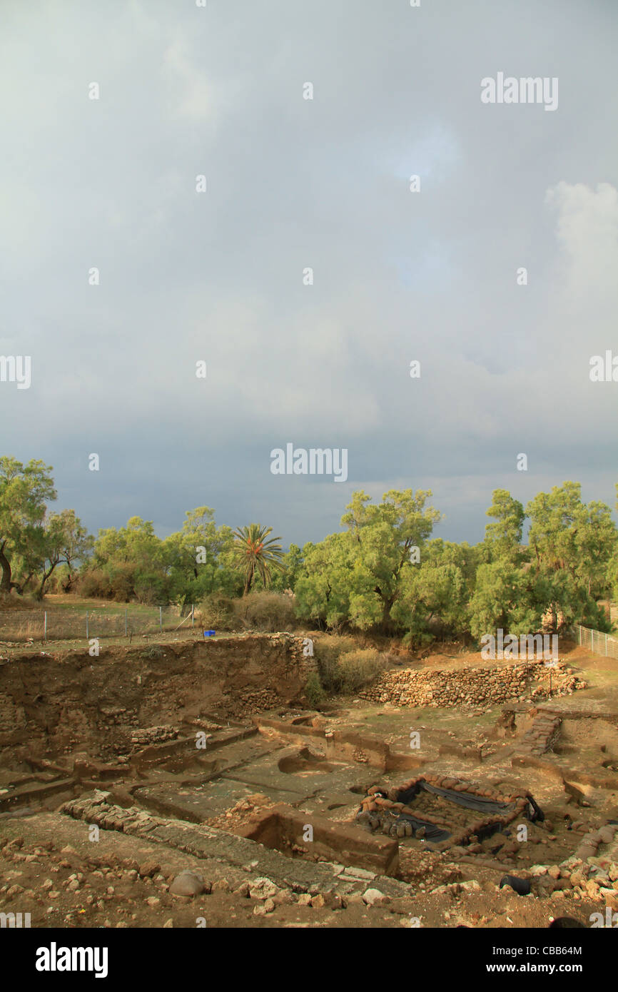 Israel, Coastal Plain, archaeological excavations in Ashkelon Stock Photo