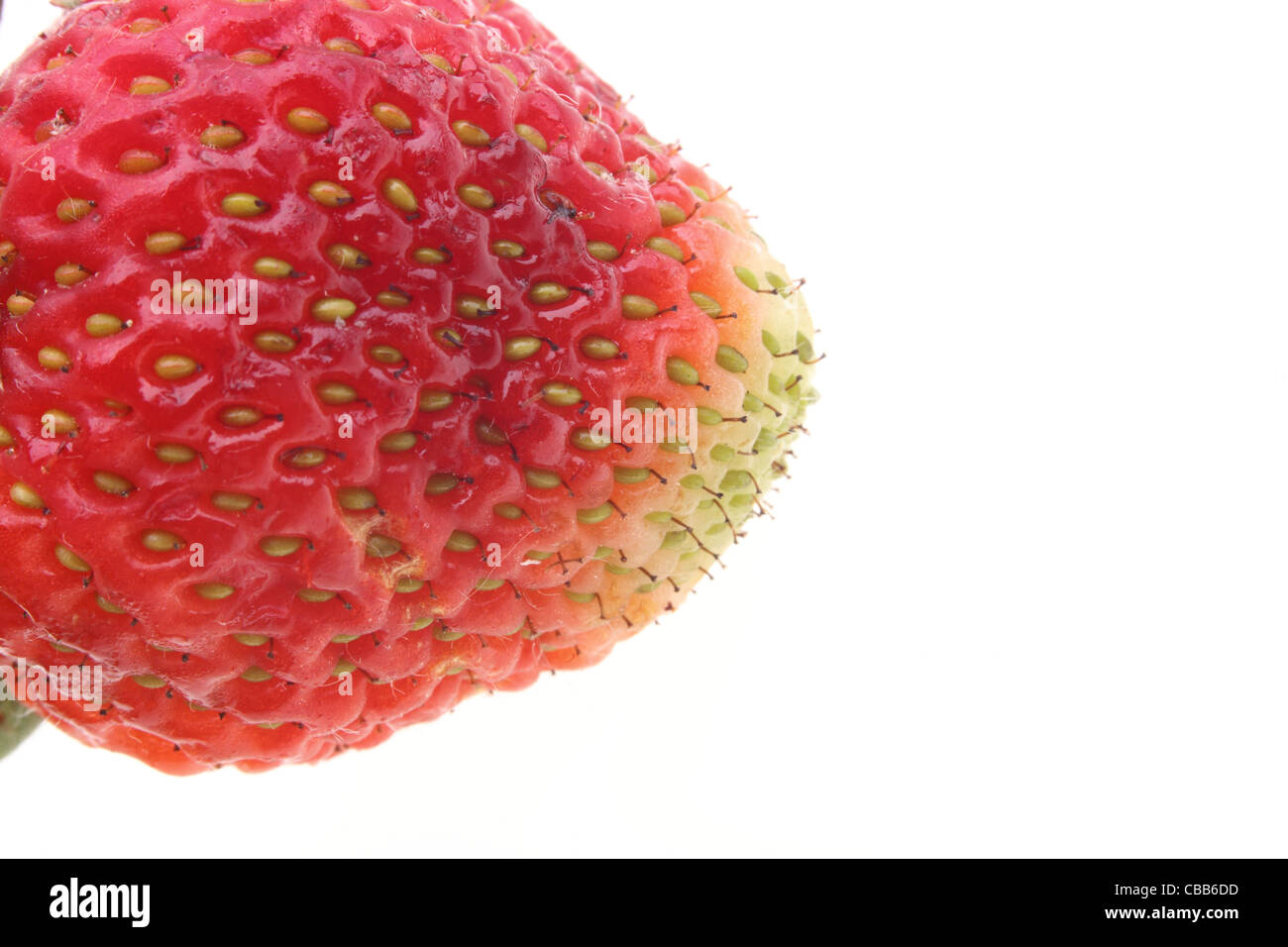 Fresh red strawberry isolated on white background Stock Photo - Alamy