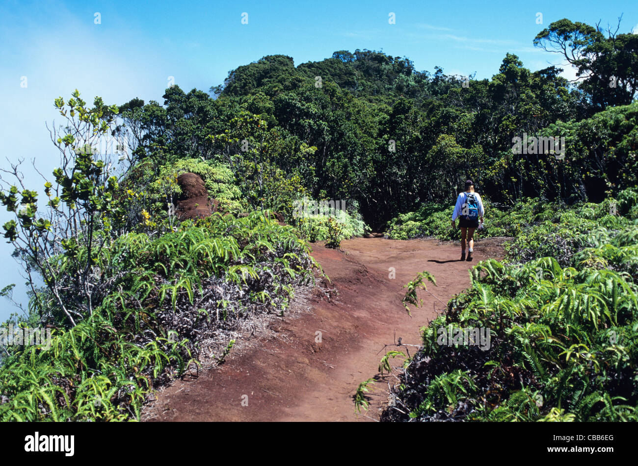 Hawaii, Kauai, hiking in Kokee State Park Stock Photo Alamy