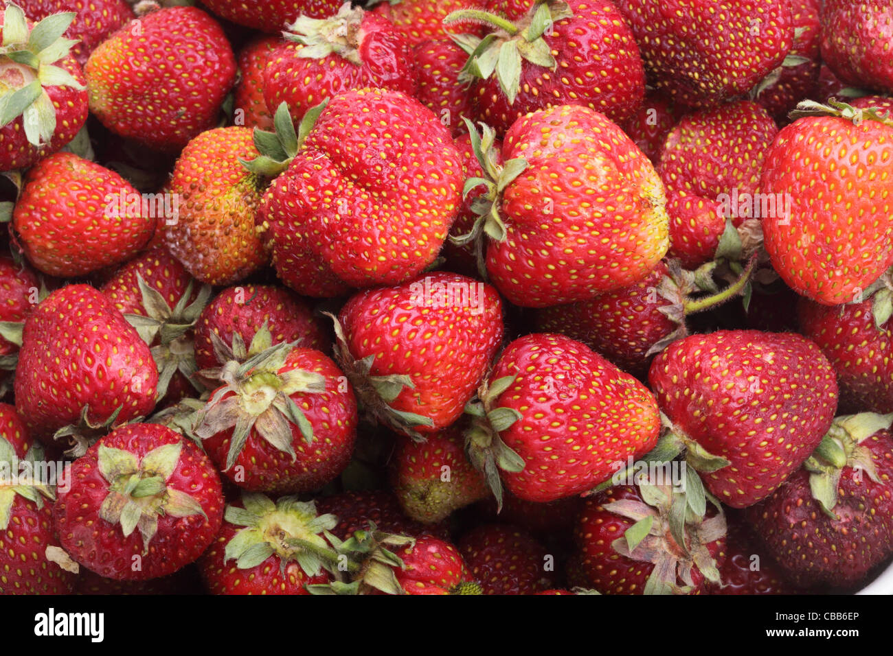 Fresh red strawberry for background Stock Photo - Alamy