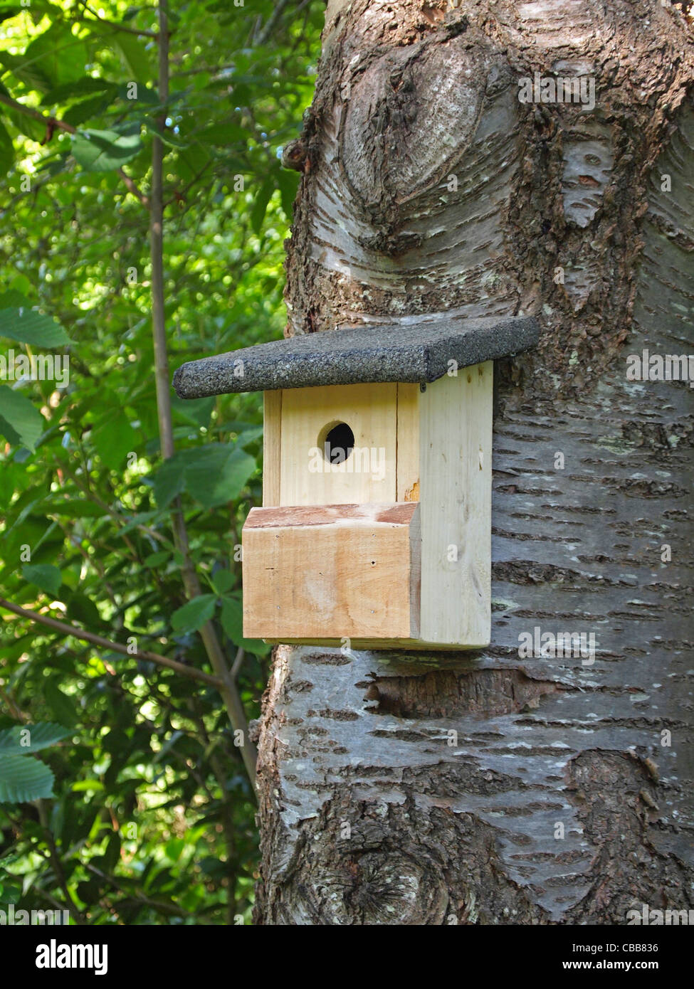Bird nesting box Stock Photo Alamy
