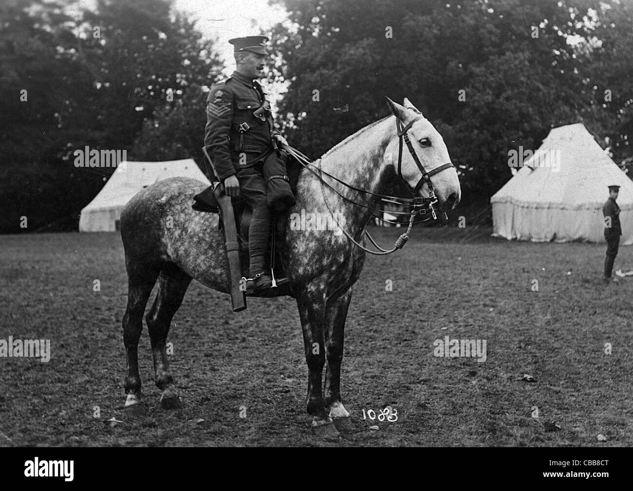 A mounted British artillery sergeant of the Great War. Stock Photo