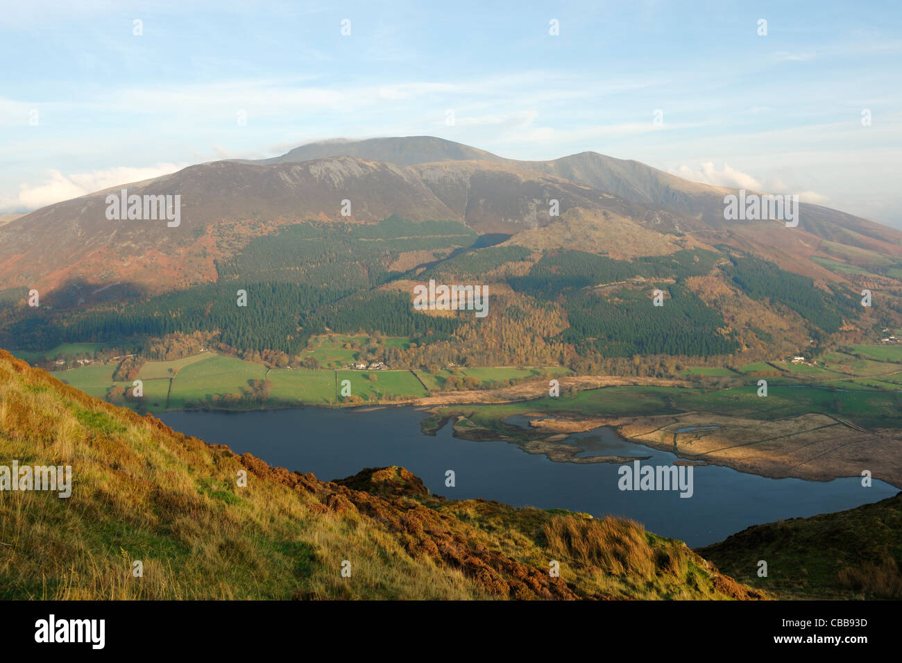 Bassenthwaite and Skiddaw viewed from Barf in the Lake District Stock Photo