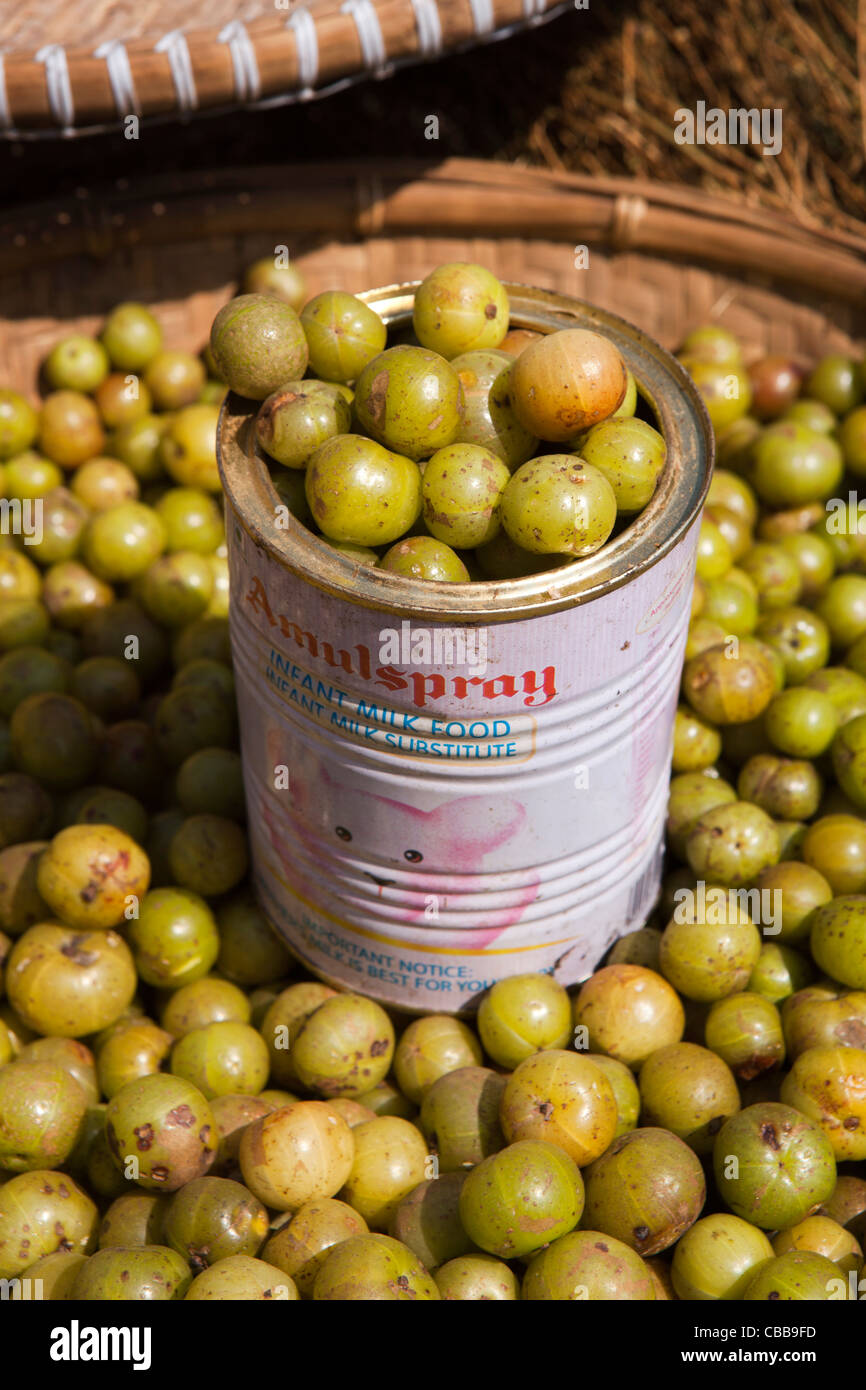 India, Meghalaya, Jaintia Hills, Ummulong Bazar, fruit stall, gooseberries measured in old dried milk tin Stock Photo