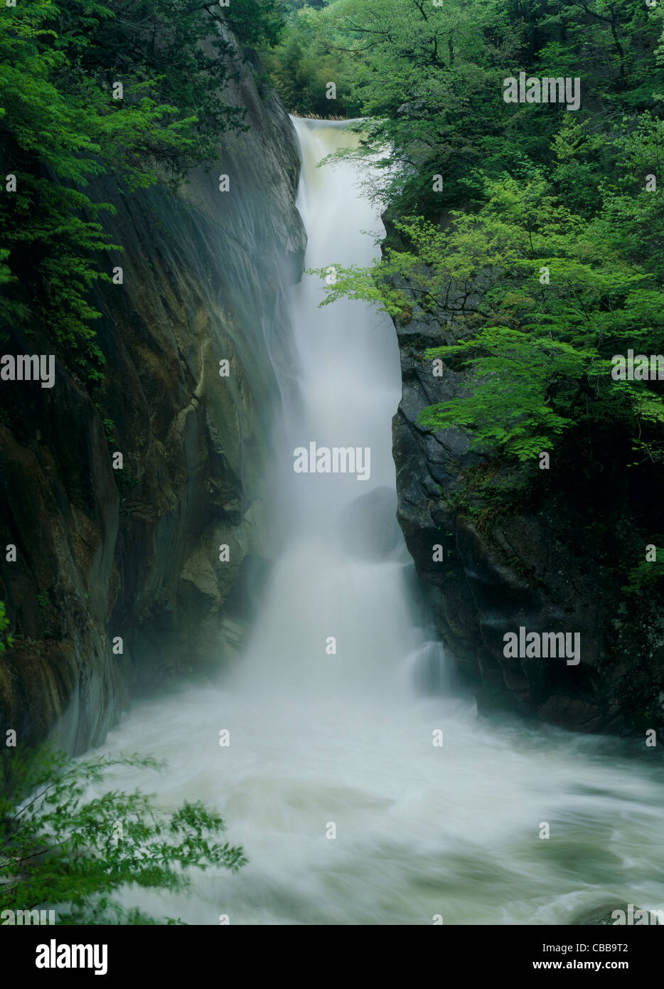 Senga Waterfall, Kofu, Yamanashi, Japan Stock Photo
