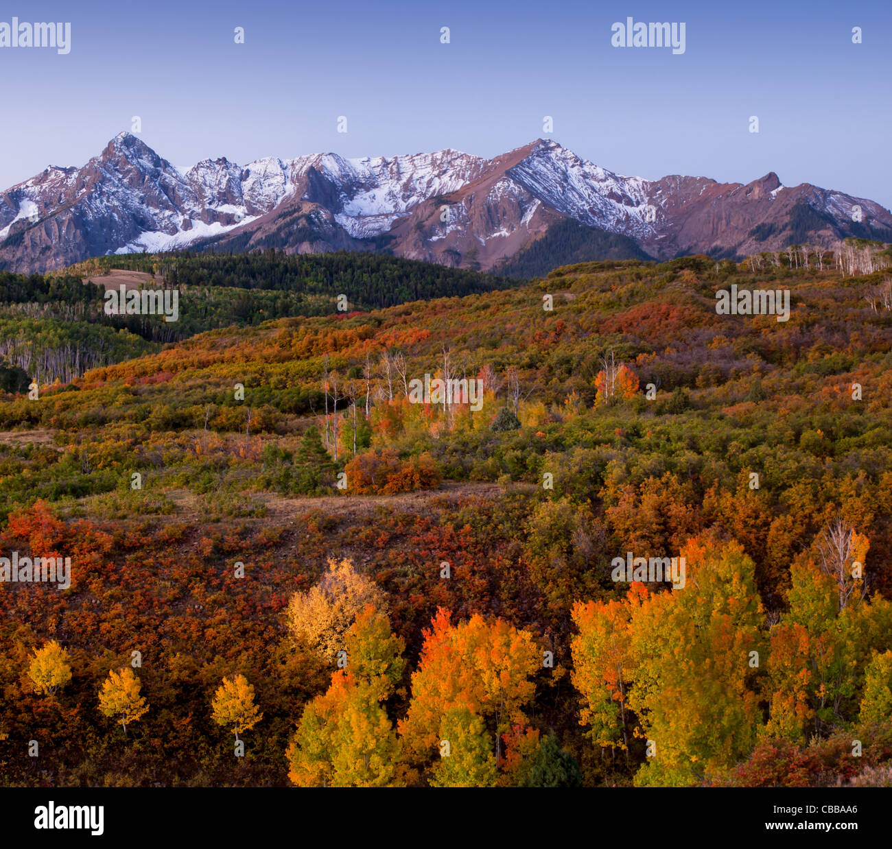 The Dallas Divide is a Colorado icon, well known for its vivid fall